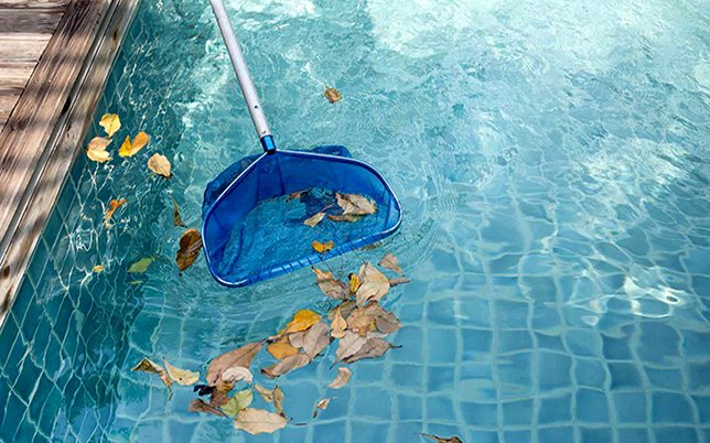 pool cleaning